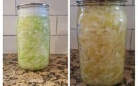 Fermentation process sauerkraut mason jar