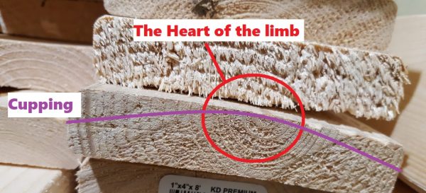 How to buy lumber that is stable and doesn’t warp – GrowIt BuildIT
