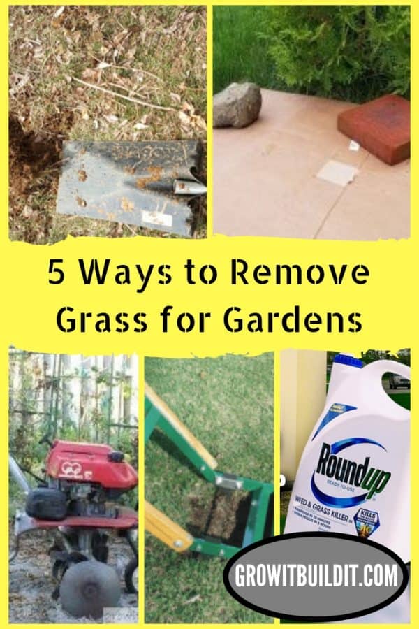 5 Ways to Remove Grass GrowIt BuildIT