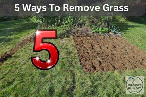 remove grass