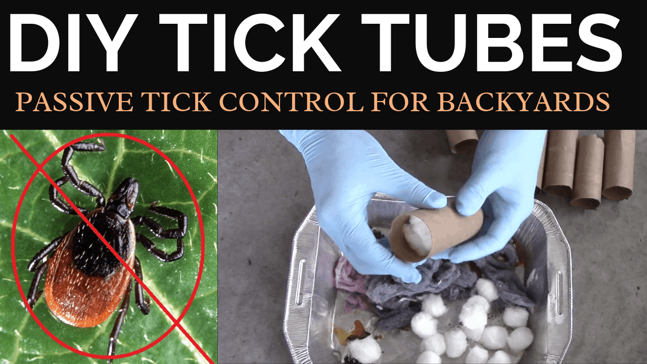 Body clock: what makes us tick? фильм. What makes you tick series. Биологические часы: что заставляет их работать (body clock: what makes us tick?), 2018. Синяя галочка. Make me tick.