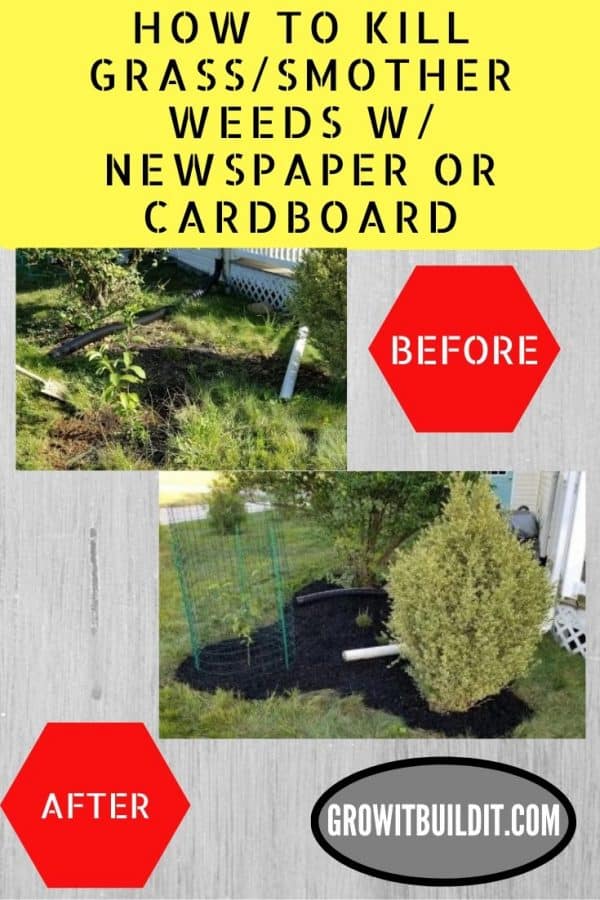 Kill grass & smother weeds with cardboard/newspaper GrowIt BuildIT
