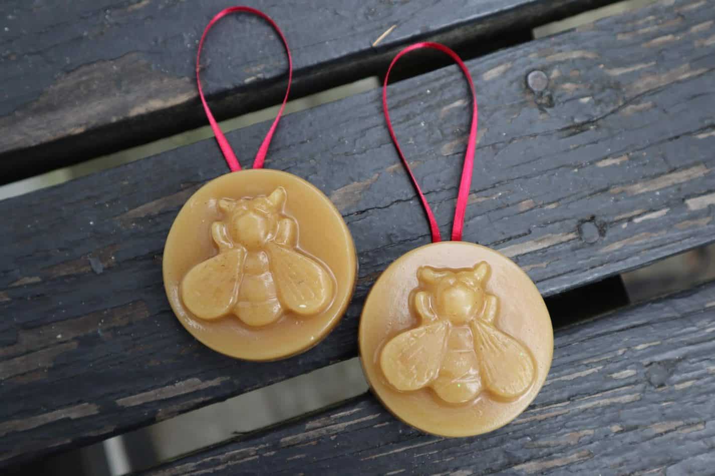 Nature Inspired Christmas Ornaments: How to Make 3 DIY Nature Ornaments – GrowIt BuildIT