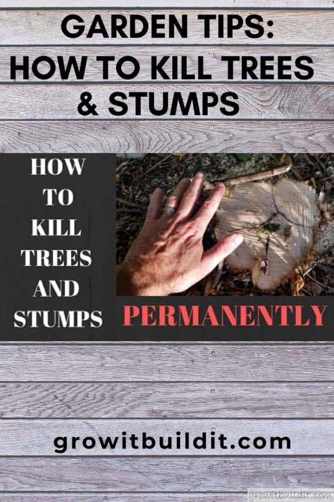 Kill Tree Stumps Permanently Easy & Effective GrowIt BuildIT