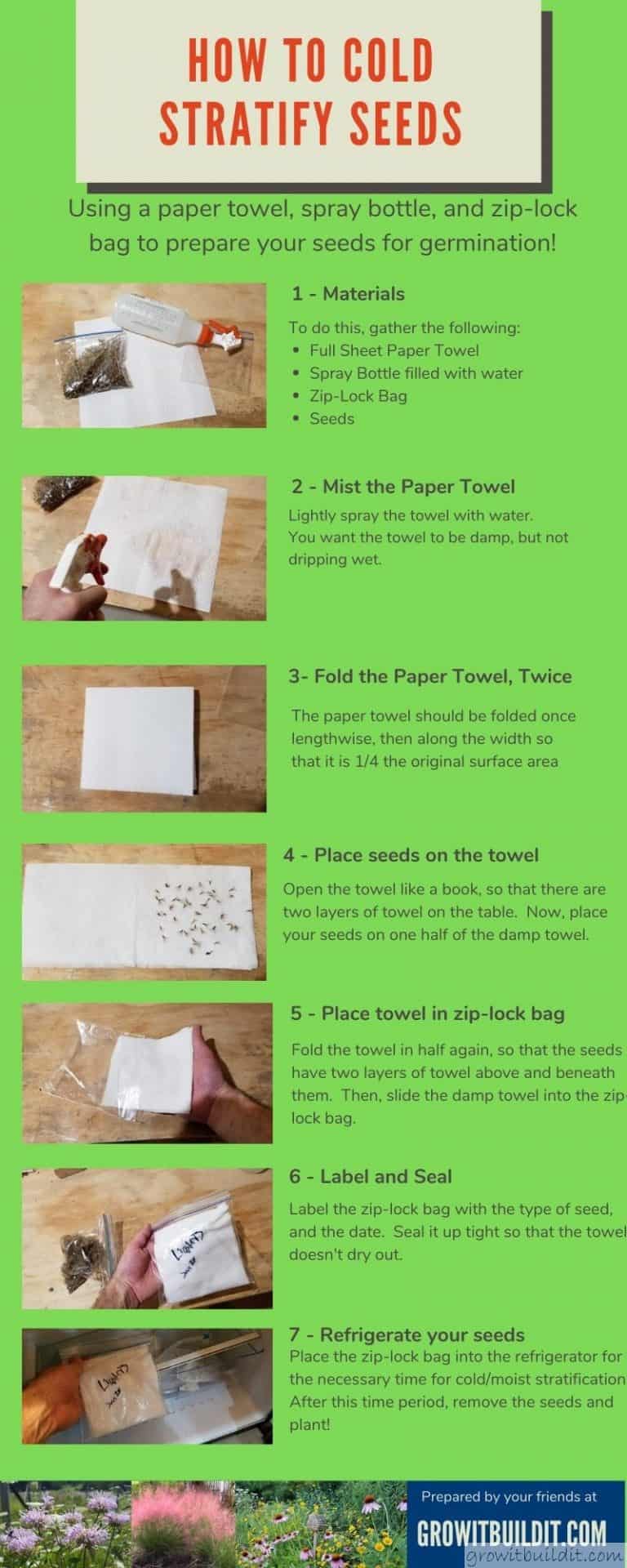 How to Stratify Seeds, An Illustrated Guide GrowIt BuildIT