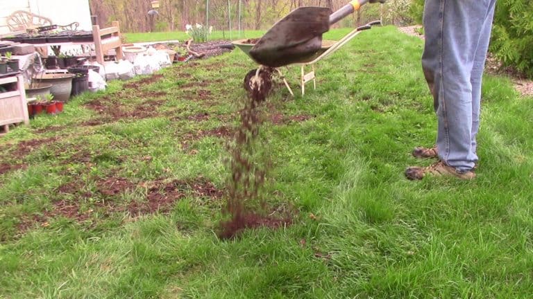 spread compost top-dress