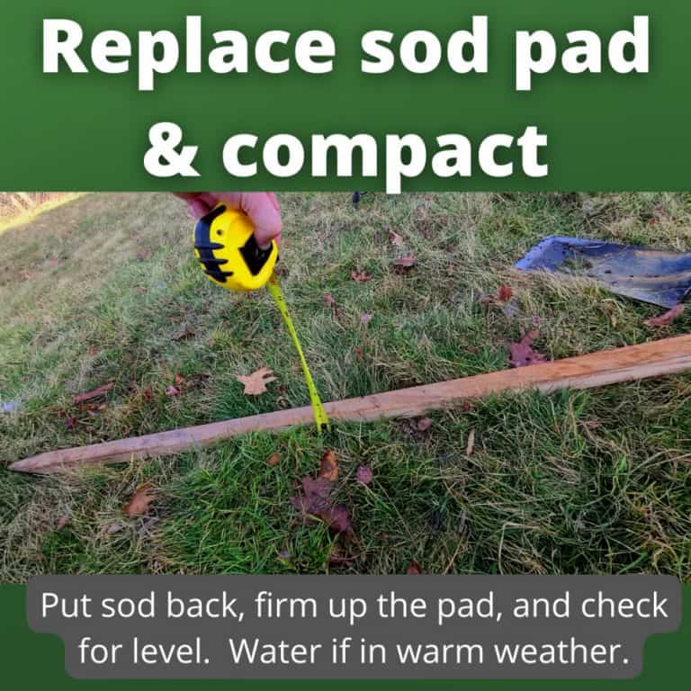 Fix Low Spots & Ruts In Your Lawn Quickly and Permanently GrowIt BuildIT