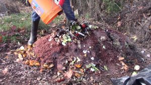 101 Things You Can Compost (printable) – GrowIt BuildIT