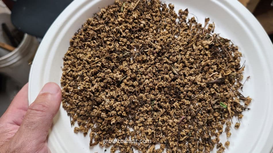 save beet seeds